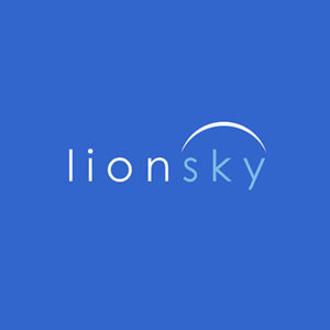Lionsky media digital marketing